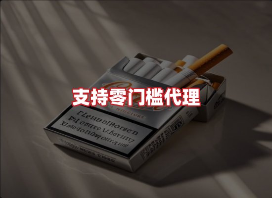 专业团队
